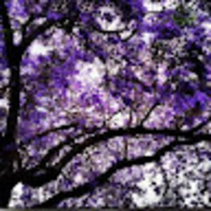 Meet your Posher, Yessica